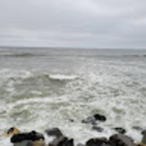 Meet your Posher, Alma